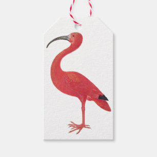 Flamingo - Fine Art Gift Tag