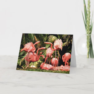 Flamingo Flamboyance Birthday Card