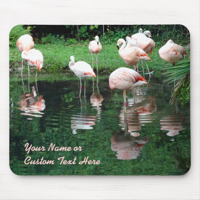 Flamingo Flamboyance Mouse Pad (Front)