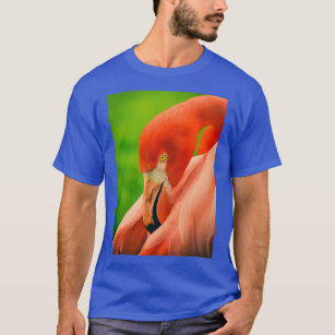 Flamingo Flamenco Long T-Shirt