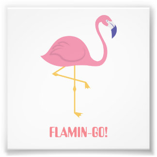 Flamingo (Flamin-Go!) Photo Print