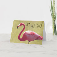Flamingo Get Well Soon Card