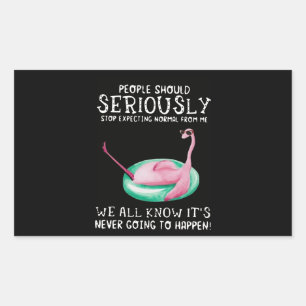 Flamingo Gift   People Should Seriously Flamingo Rectangular Sticker