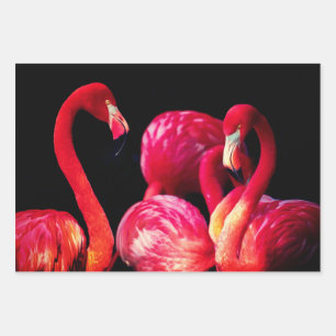 Flamingo Gift Wrap Sheets
