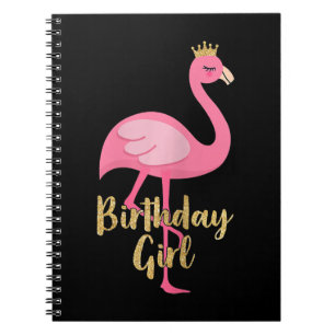 Flamingo Girl Birthday Costume Gifts Notebook
