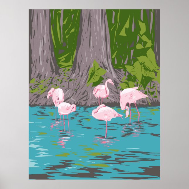 Flamingo in Everglades Poster (Front)