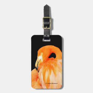 Flamingo in the Summer Sun Luggage Tag