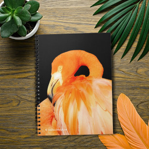 Flamingo in the Summer Sun Notebook