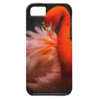 Flamingo iPhone 5 case
