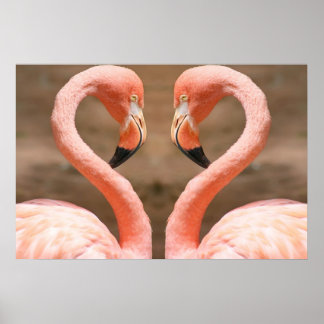 Flamingo Love Poster