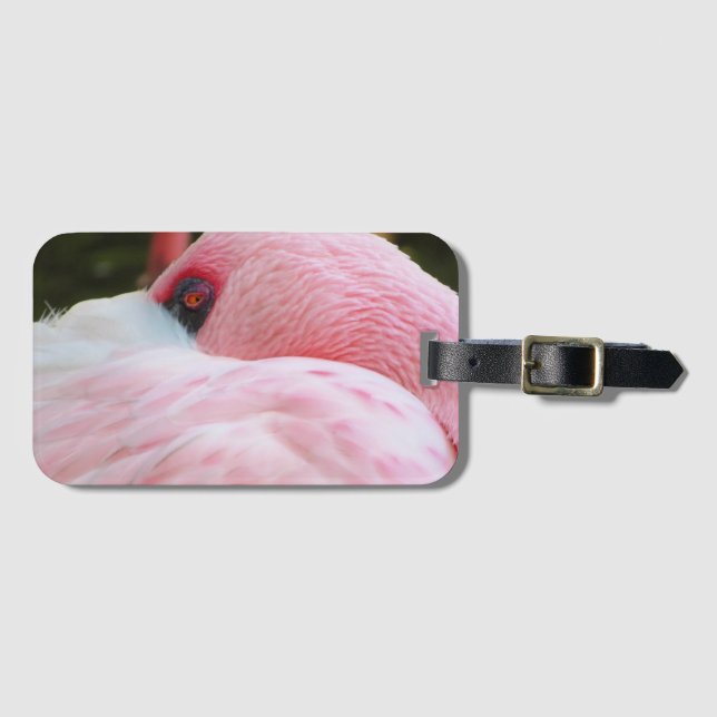 Flamingo  luggage tag (Front Horizontal)