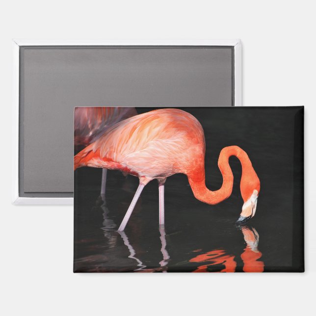 Flamingo Magnet (Front/Back)