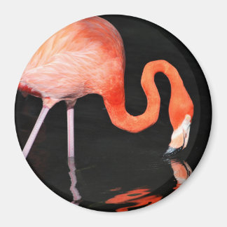 Flamingo Magnet