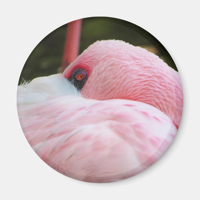 Flamingo  magnet (Front)