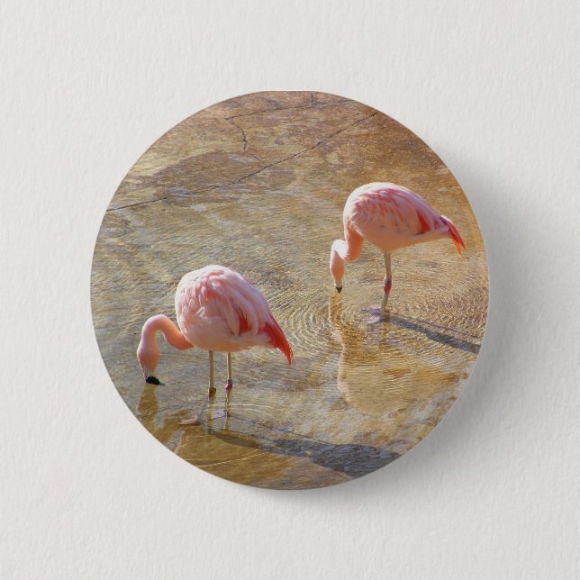 Flamingo Morning 6 Cm Round Badge (Front)