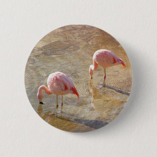 Flamingo Morning 6 Cm Round Badge