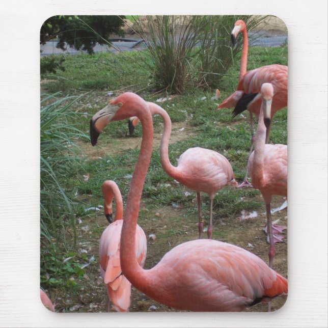 Flamingo Mousepad (Front)