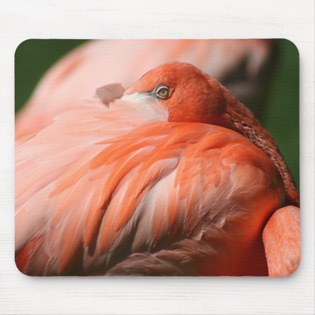 Flamingo Mousepad (Front)
