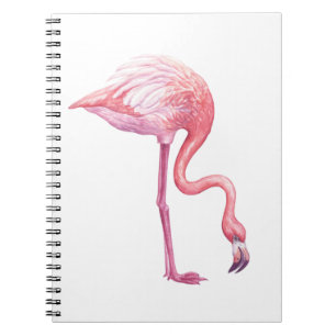 Flamingo Notebook