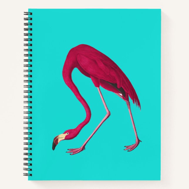 Flamingo Notebook (Front)