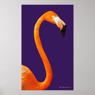 Flamingo On Blue Poster