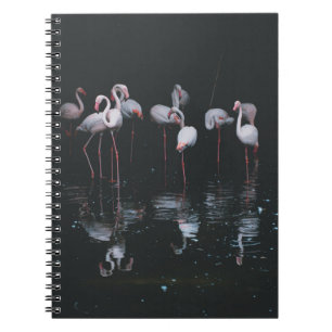 FLAMINGO ON DARK BACKGROUND NOTEBOOK
