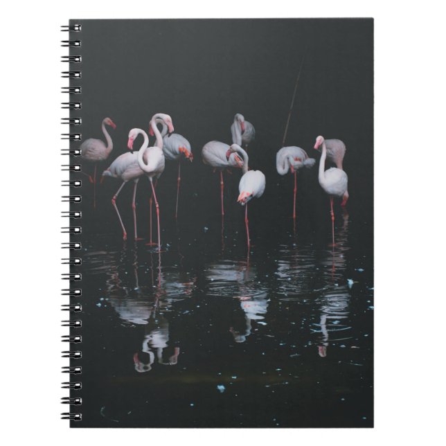 FLAMINGO ON DARK BACKGROUND NOTEBOOK (Front)