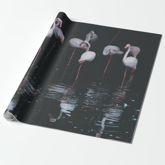 FLAMINGO ON DARK BACKGROUND WRAPPING PAPER (Unrolled)