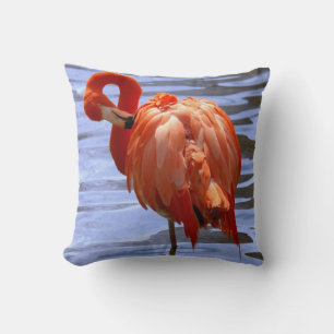 Flamingo on one leg in water cushion