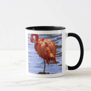 Flamingo on one leg in water mug