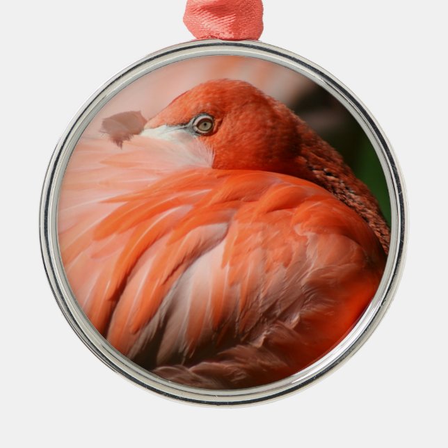 Flamingo Ornament (Front)