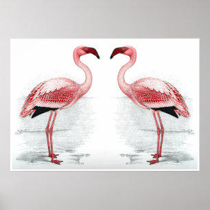FLAMINGO PARK Flamingo Flock Fine Art Print