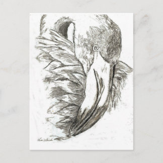Flamingo patterns postcard