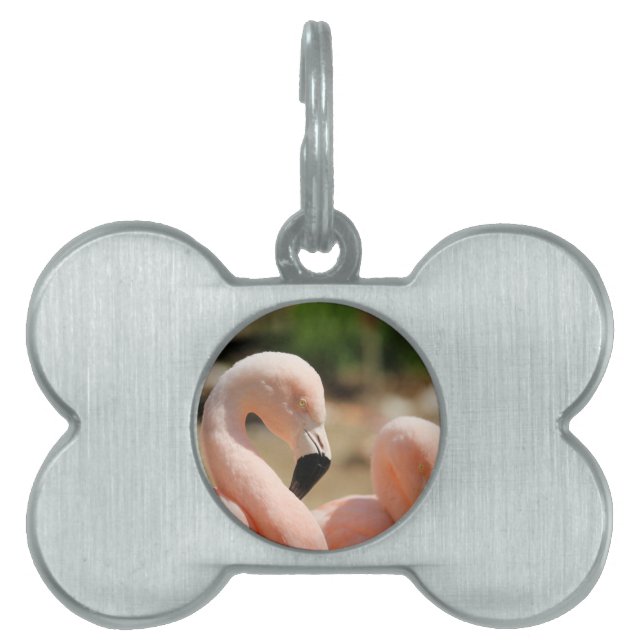 Flamingo Pet Name Tag (Front)