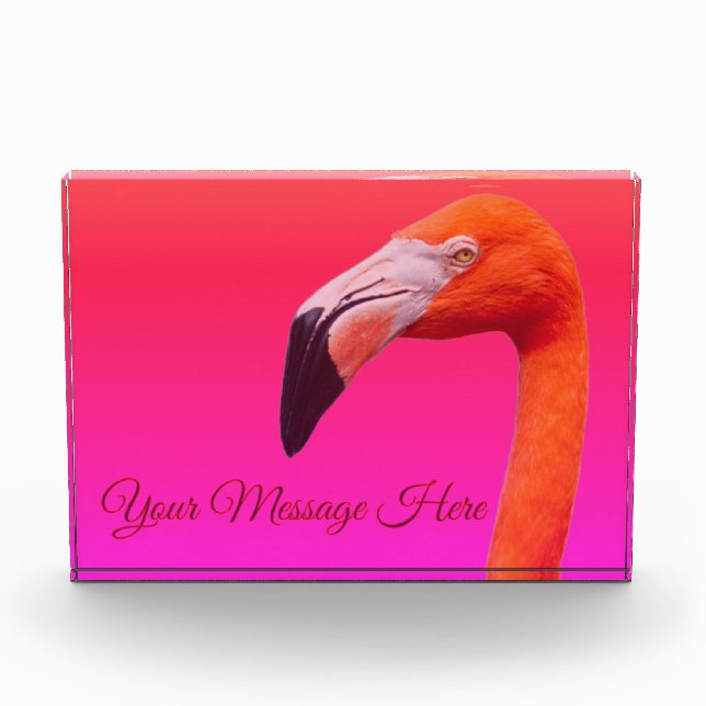 Flamingo  photo block (Front)