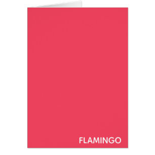 Flamingo pink colour name