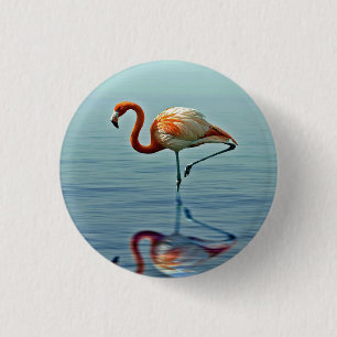 Flamingo Pink Reflection Wildlife Photo 3 Cm Round Badge