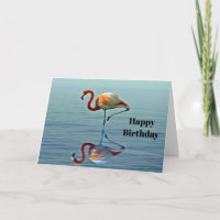 Flamingo Pink Reflection Wildlife Photo Birthday