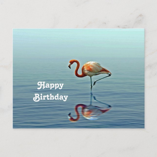 Flamingo Pink Reflection Wildlife Photo Birthday Postcard (Front)