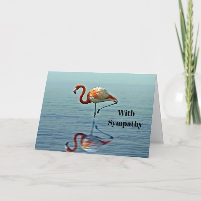Flamingo Pink Reflection Wildlife Photo Sympathy Card (Front)