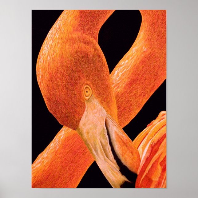 Flamingo Portrait Poster (Front)