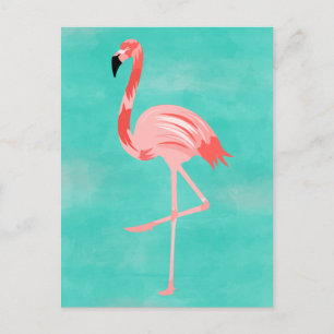 Flamingo Postcard