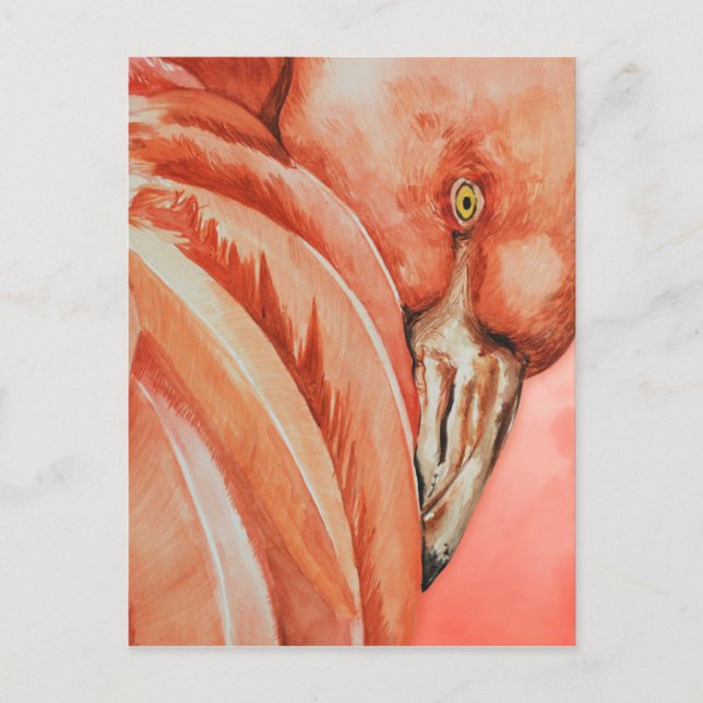 Flamingo  postcard (Front)