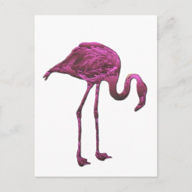 flamingo postcard (Front)
