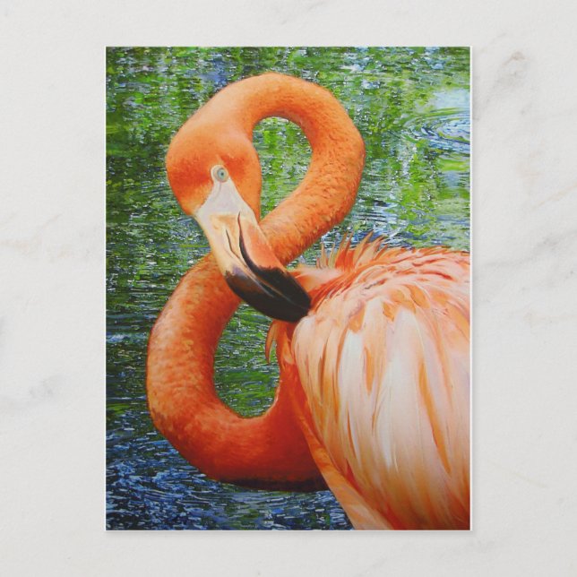 FLAMINGO POSTCARD (Front)