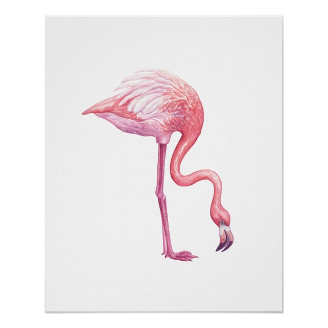Flamingo Poster (Front)