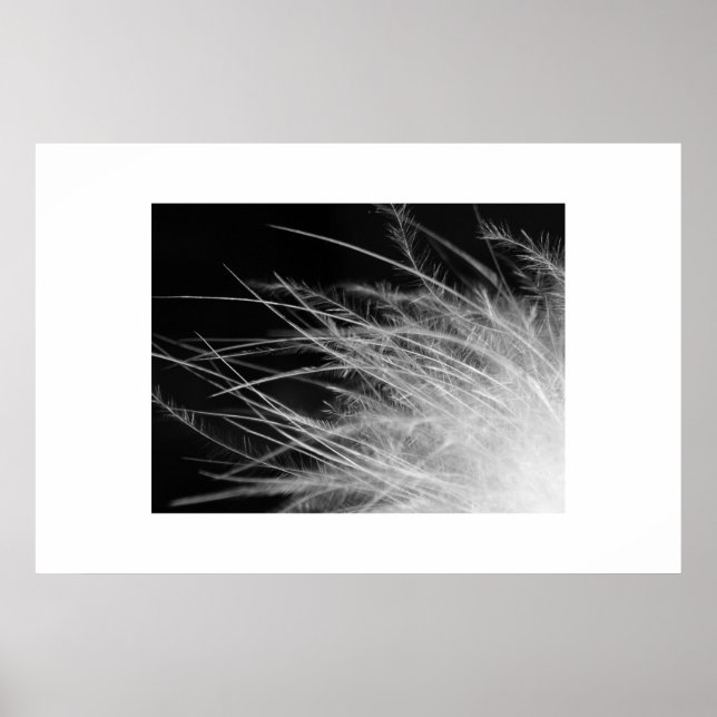 flamingo poster (Front)