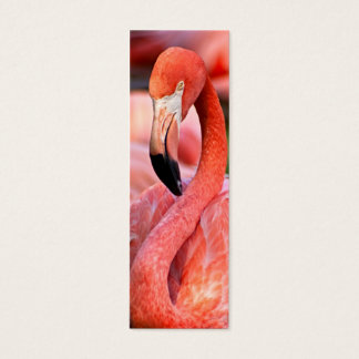 Flamingo Profile Card or Bookmark