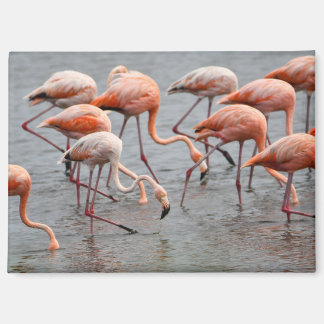 Flamingo Refrigerator Magnet