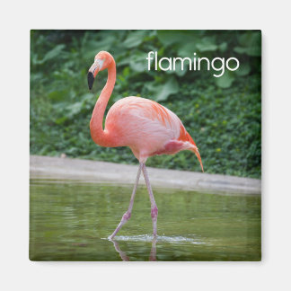 Flamingo Refrigerator Magnet